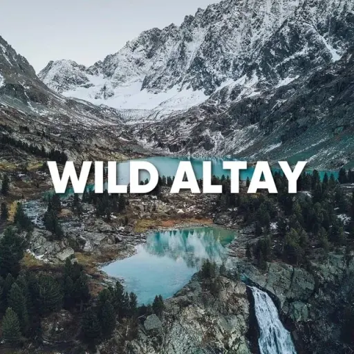 WILD RUSSIANS | АЛТАЙ