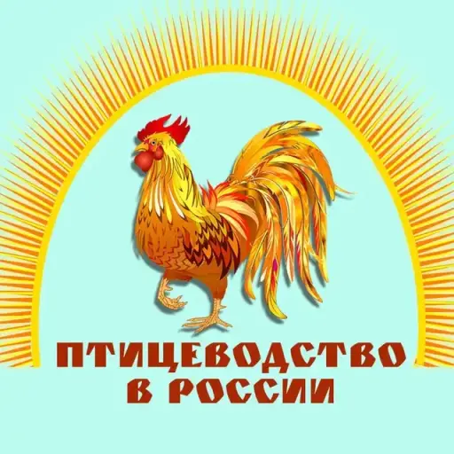 Птицеводство в России Птицеводство в России