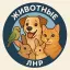 Животные ЛНР | Питомцы ЛНР | Объявления животные